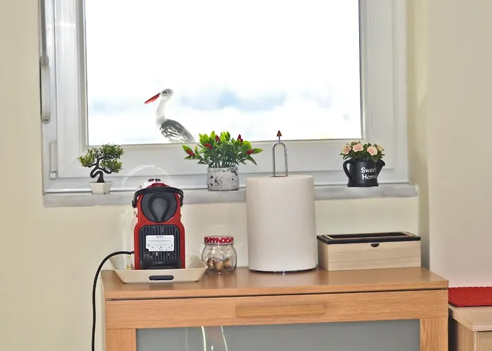 Afroditi 卡斯托里亚